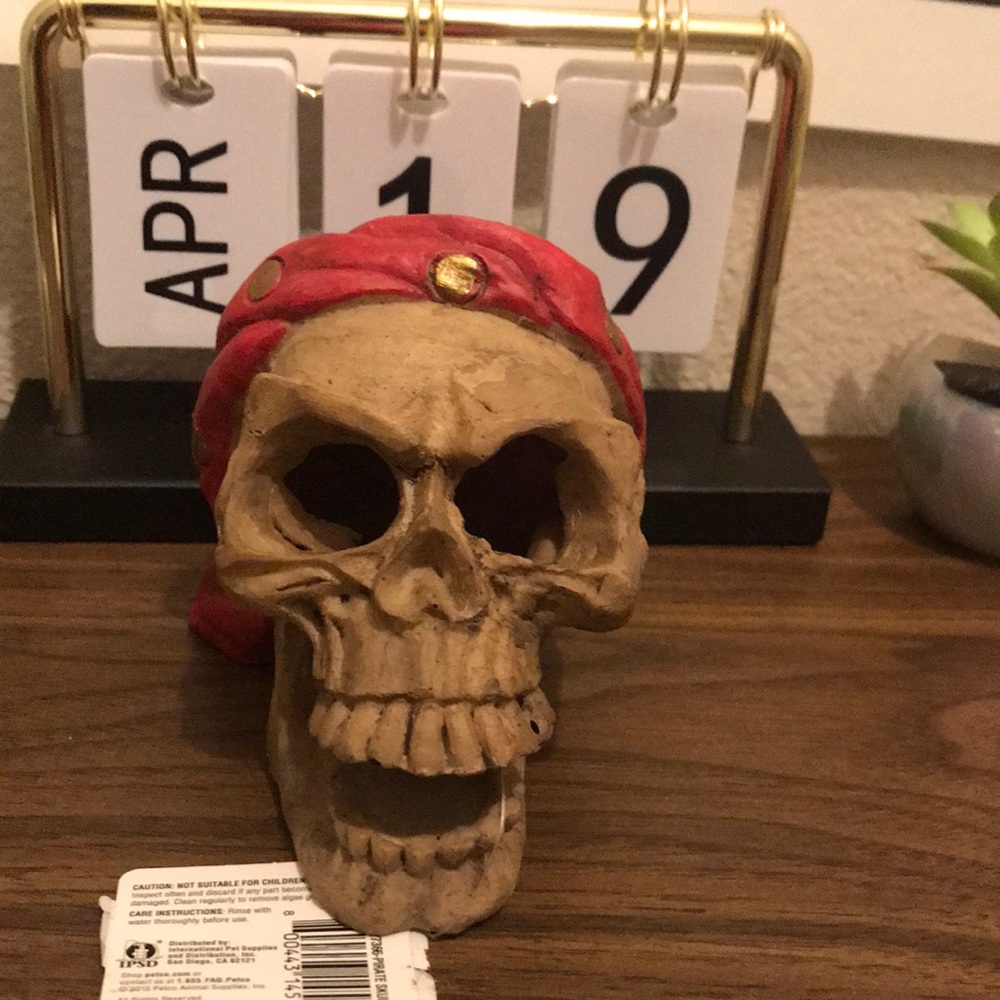 New- Imagitarium Pirate Skull w/ Bandana Aquatic Decor